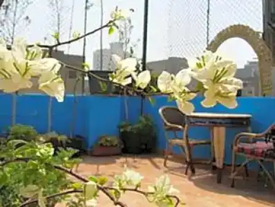 Arabian Nights Hostel - 31