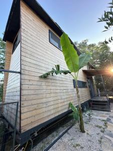 Gaia Tiny Houses Butik - 46