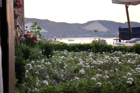 Badem Tatil Evi - 30