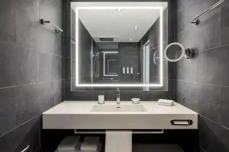 Swissotel Le Plaza Basel City - 82