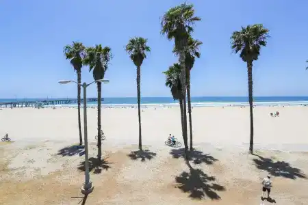 Venice on the Beach - 30