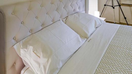 Suite in Center - 102