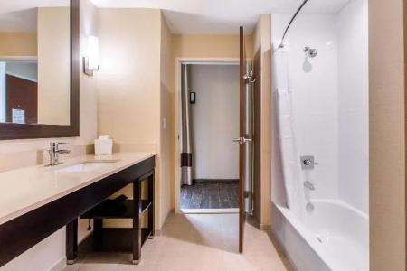 Comfort Suites - South Austin - 36