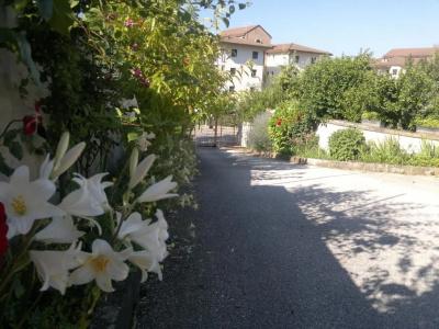 b&b - 8