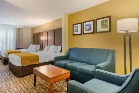 Comfort Suites - 4