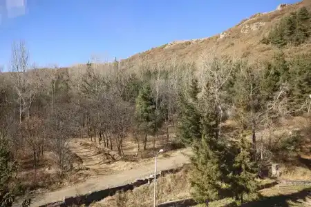 Джермук Ани - 25
