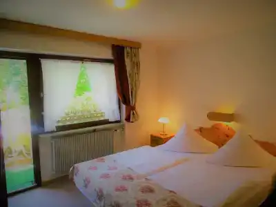 Schwarzwald ApartKräutle - 20