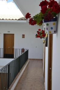 Oasis Atalaya - 17