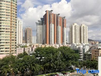 Kinkey Oriental Regent - 9