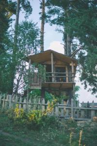 Heshkili huts Svaneti - 29