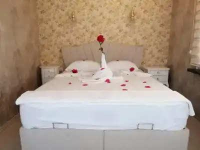 Эсмеральда - 16