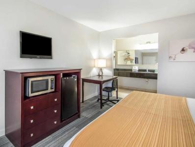 Quality Inn & Suites By the Parks - 50