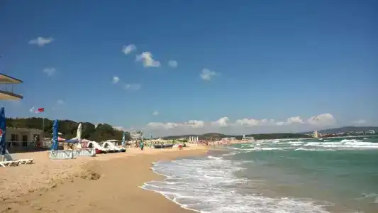 Green Paradise Deluxe - 22