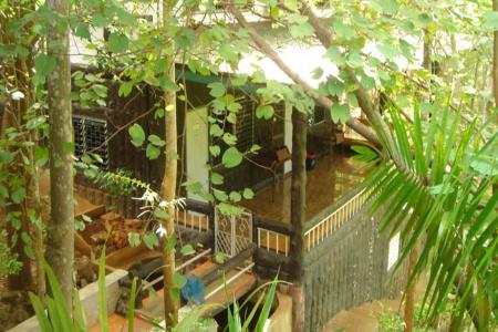 Sam's Jungle - 15