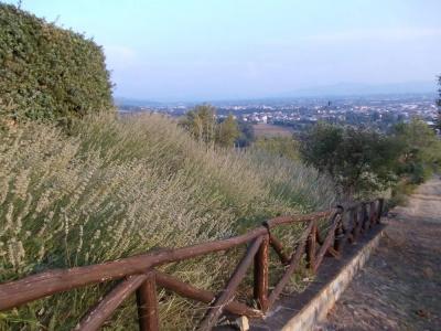 Relais Palazzo di Luglio - 17