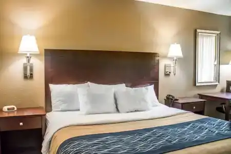 Comfort Inn - 56