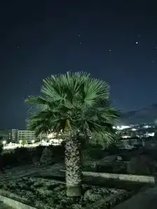 Vlycha Beach - 59