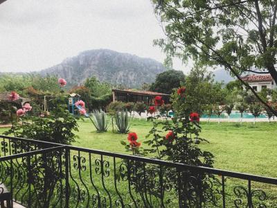Palme Dalyan - 34