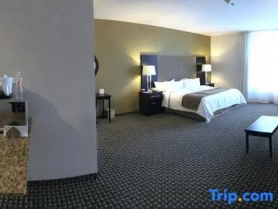 Holiday Inn Mexico Santa Fe, An Ihg - 56