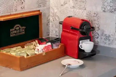 Alafropetra Luxury Suites - 100
