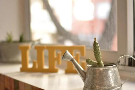 Sucre Suites - 228