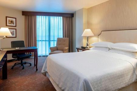 Sheraton Houston Brookhollow - 18
