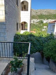 Guest House Cesic - 46