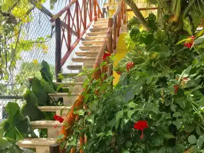 Maison Tulum - 10