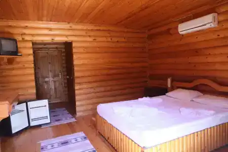 Woodline - 16