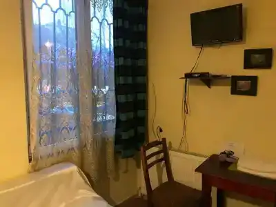 Gutsa Artists Mini-Hotel - 29