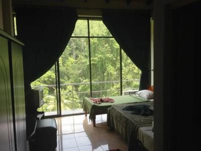 Kandy View - 44
