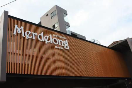 Merdelong - 11