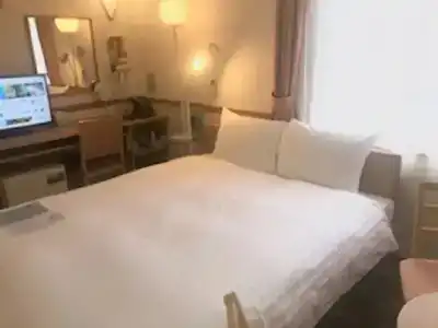 Toyoko Inn Ekimae - 94