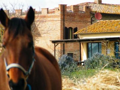 Agriturismo Montegonfoli - 157