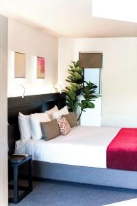 Seahaven Noosa Beachfront - 1