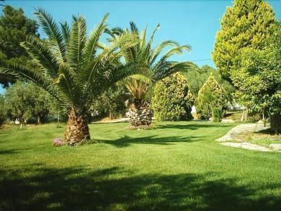 Villa Kalliopi - 12