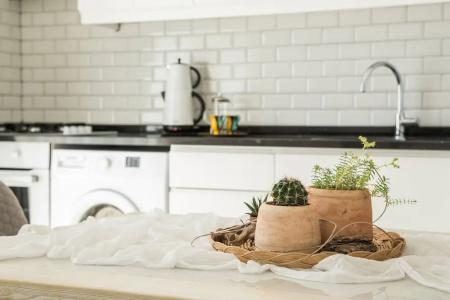 Cedrus Suites - 135
