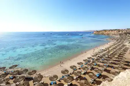 Reef Oasis Beach Resort - 16