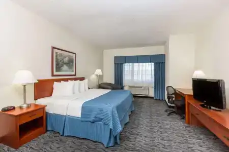 Baymont by Wyndham Airport - 35