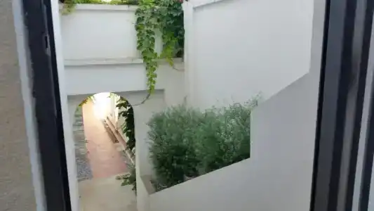 Villa Olivia - 23