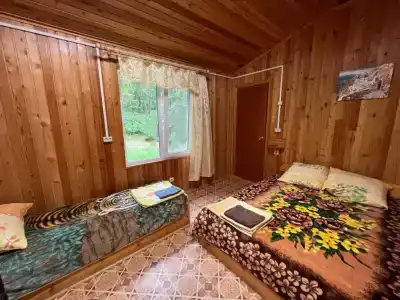 Камень Льва - 4