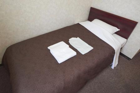 Select Inn Yonezawa - 10