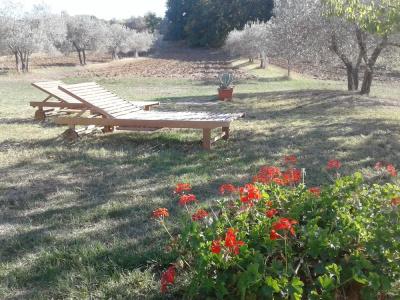 Agriturismo Barbi - 90