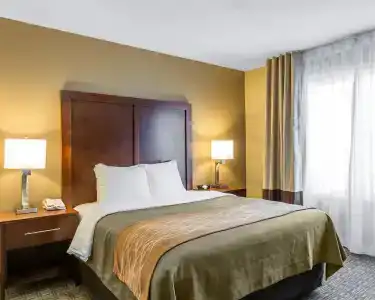 Comfort Inn & Suites Beach - 42