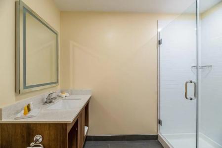 Spot x By Red Collection Orlando International Dr - 8
