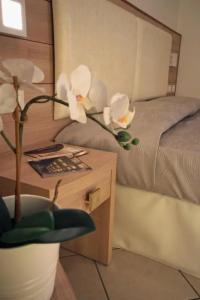 Continental & Residence - 32