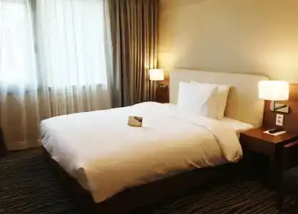 Busan Business - 5