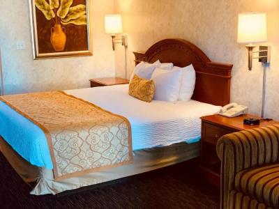 St. George Inn and Suites - 48
