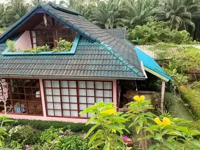 Ekman Garden - 85