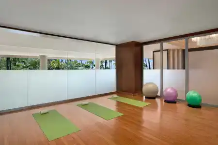 The Westin Maui & Spa, Ka'anapali - 18
